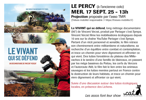 flyer-projection-film